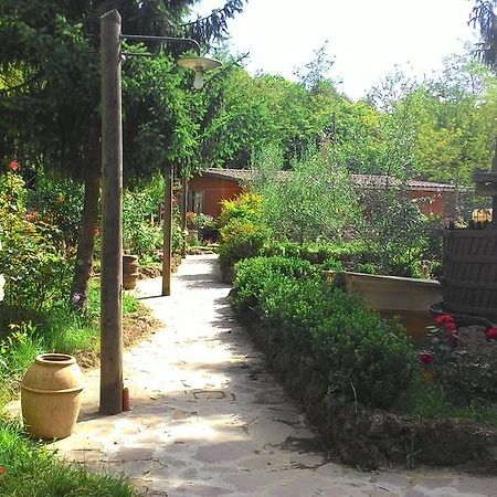 Casa Sulla Via Francigena Apartment Ronciglione  Exterior photo