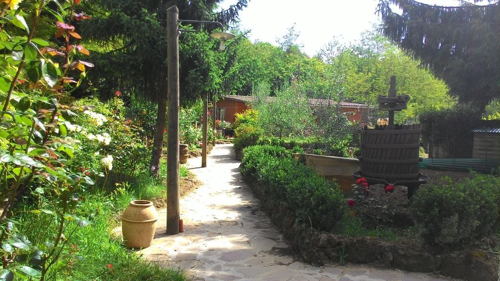 Casa Sulla Via Francigena Apartment Ronciglione  Exterior photo